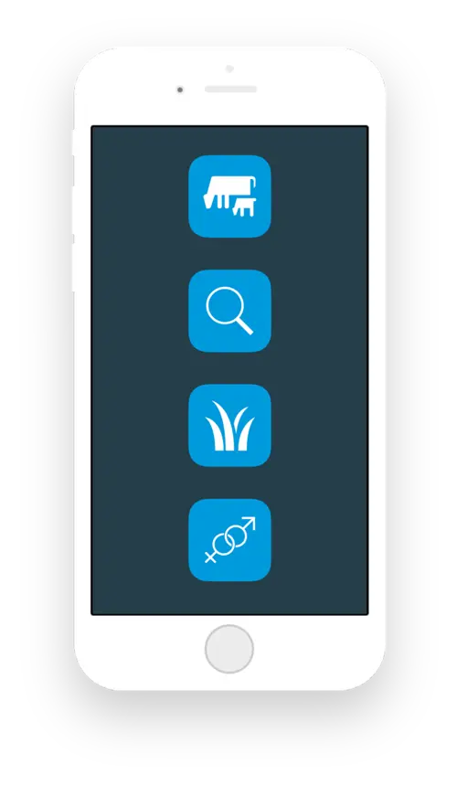 a screen shot of a cell phone