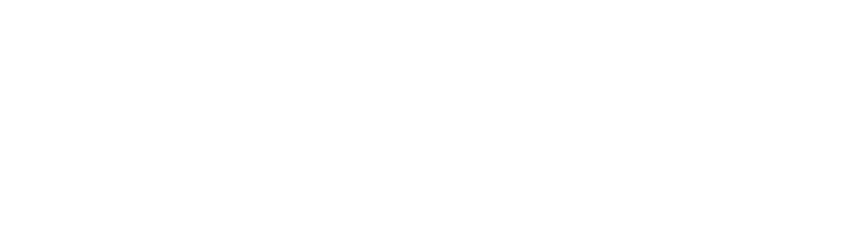 Te Wananga o Aotearoa Logo White