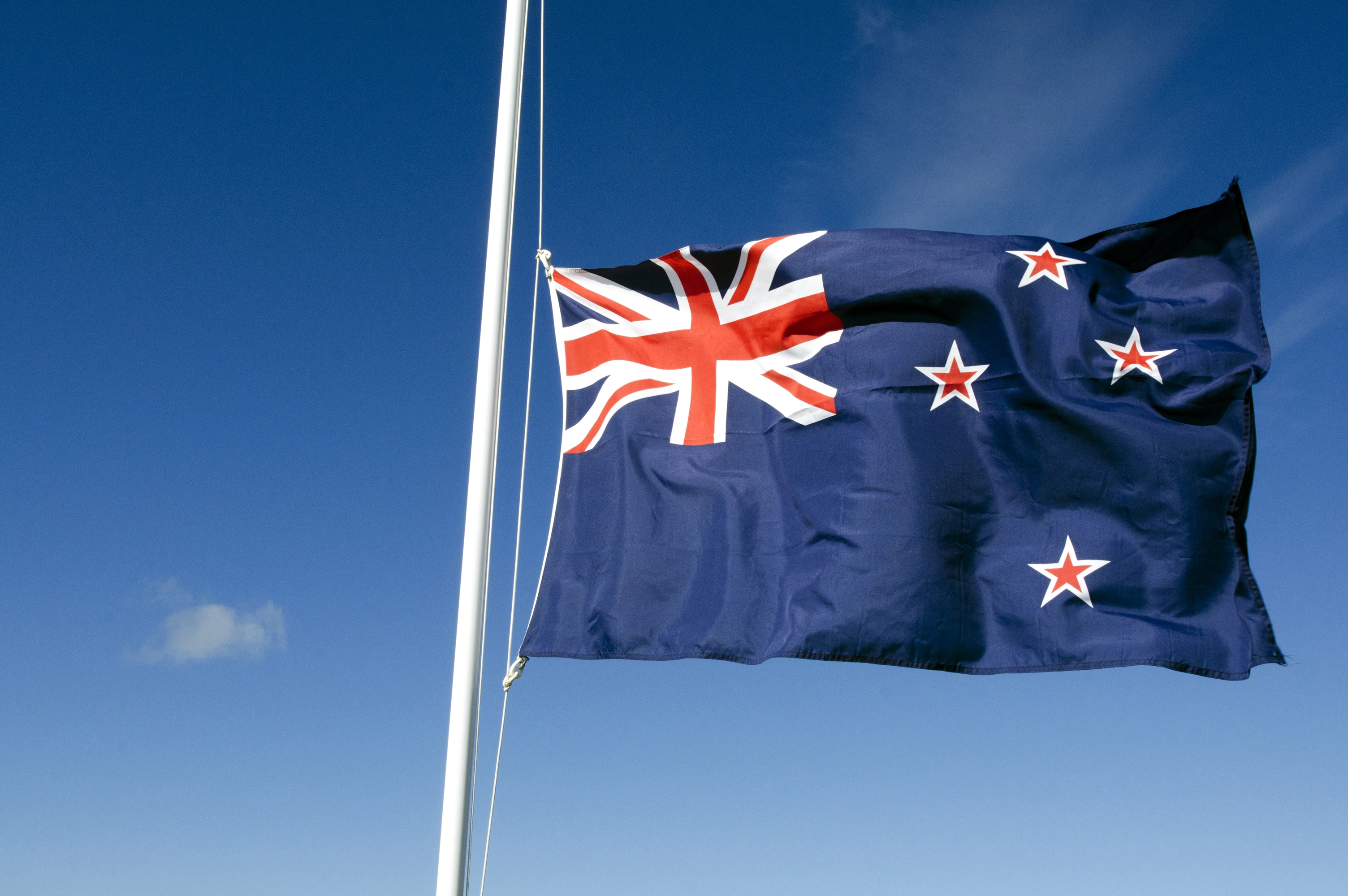 a flag on a pole