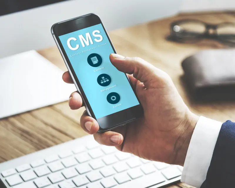 a hand holding a phone