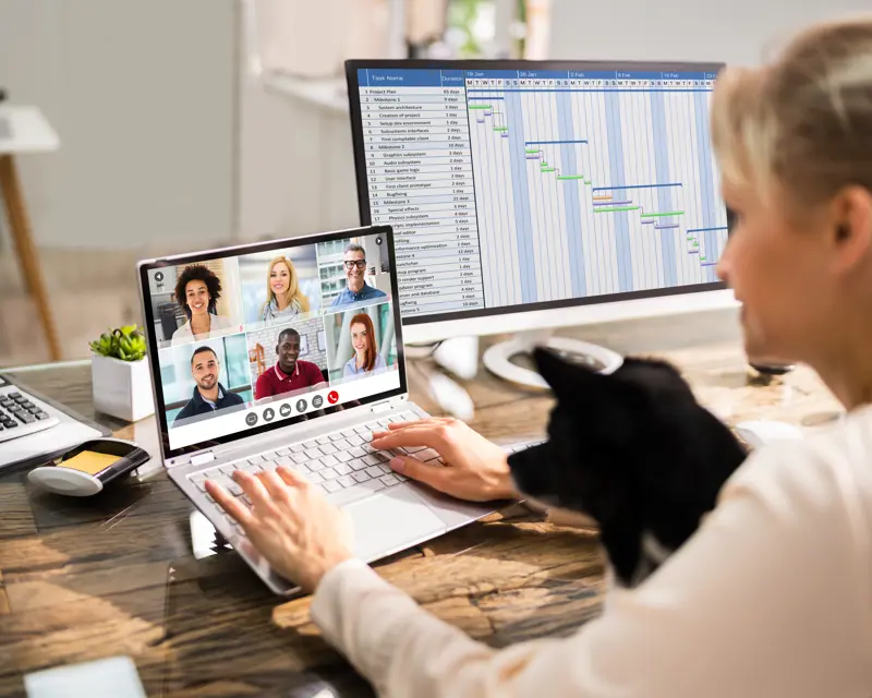 Woman on a video call at her desk, Gantt chart on a second monitor, dog on her lap