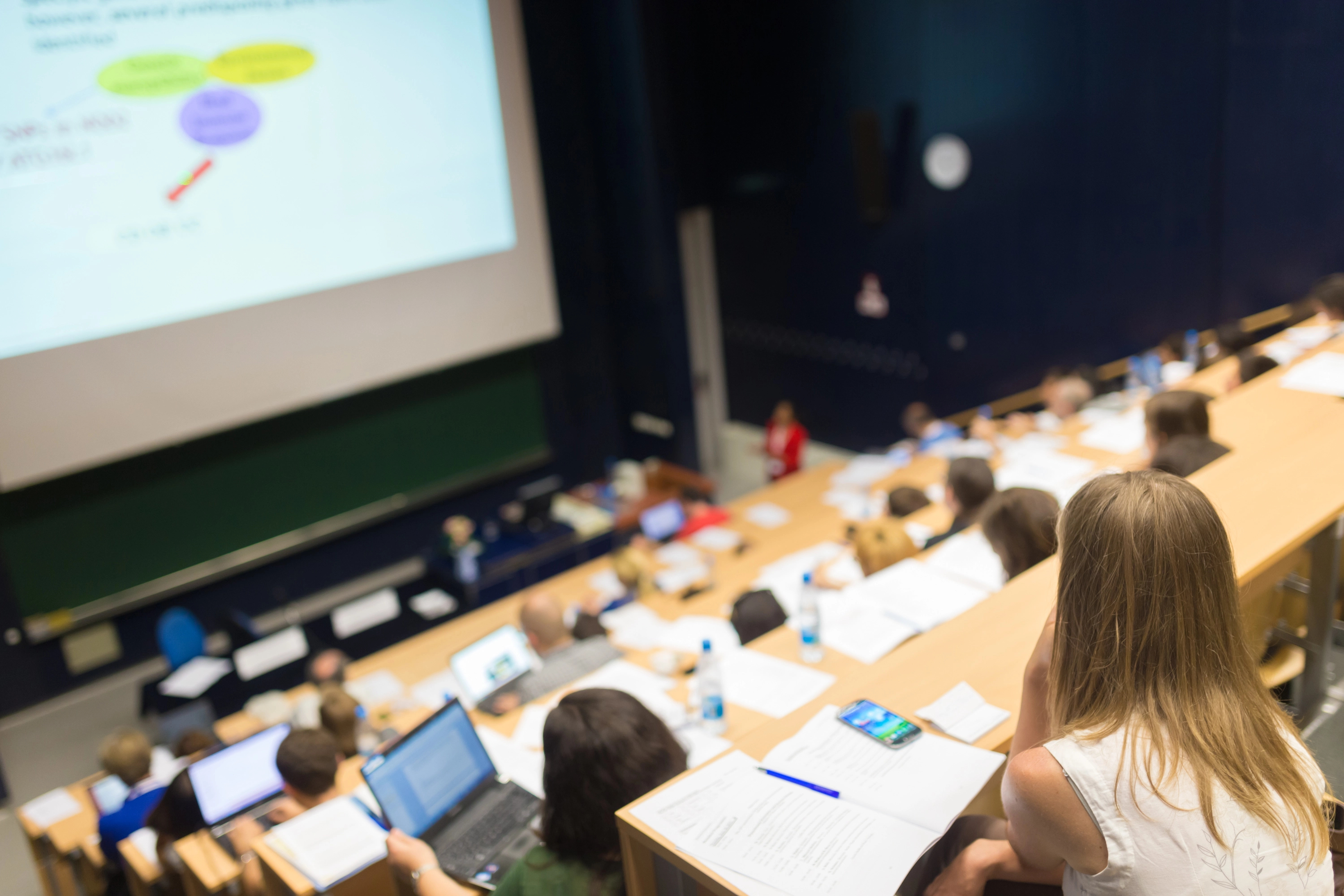 Enlighten Designs partnering with Waikato’s education community