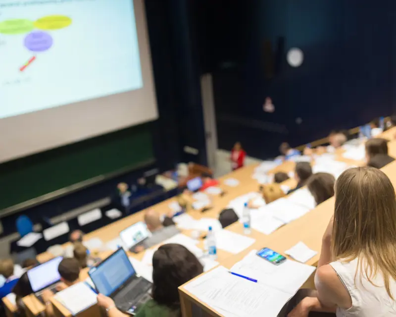 Enlighten Designs partnering with Waikato’s education community