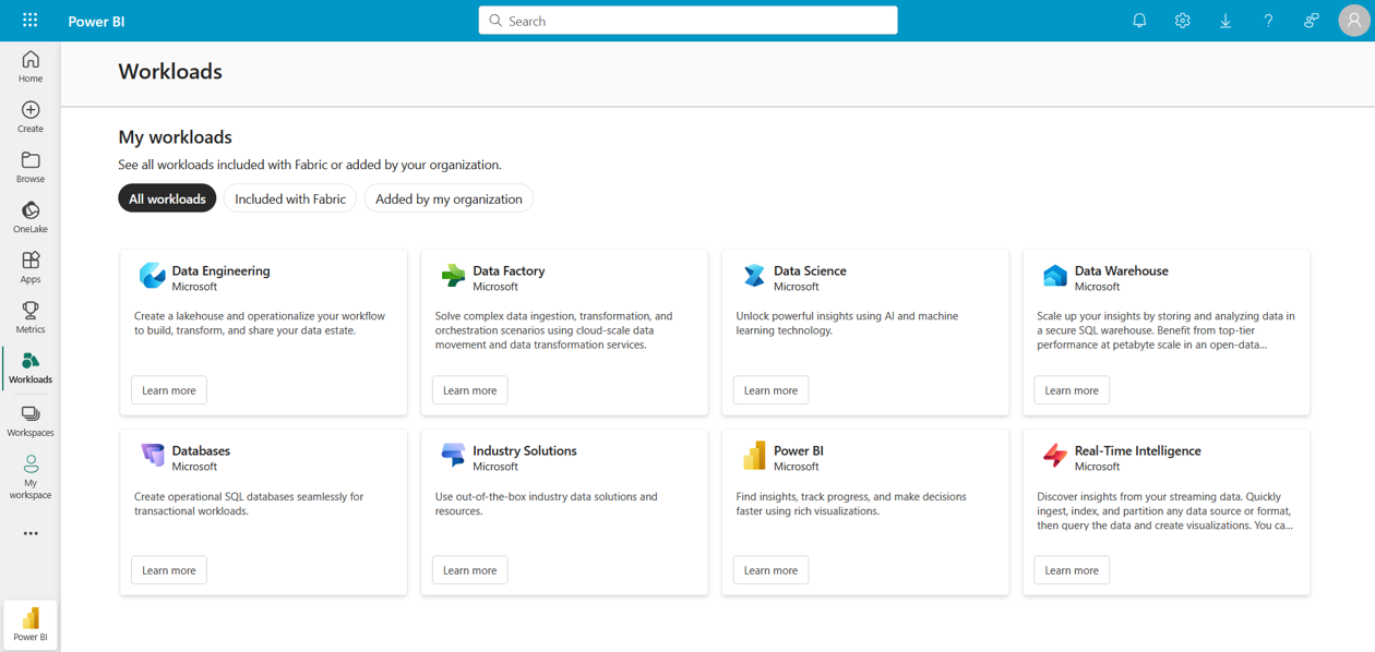 a screenshot of a Fabric Workload
